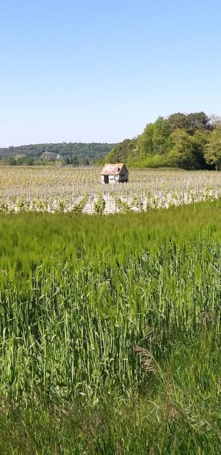 Le Clos De La Chesneraie Сен-Жорж-сюр-Шер Экстерьер фото